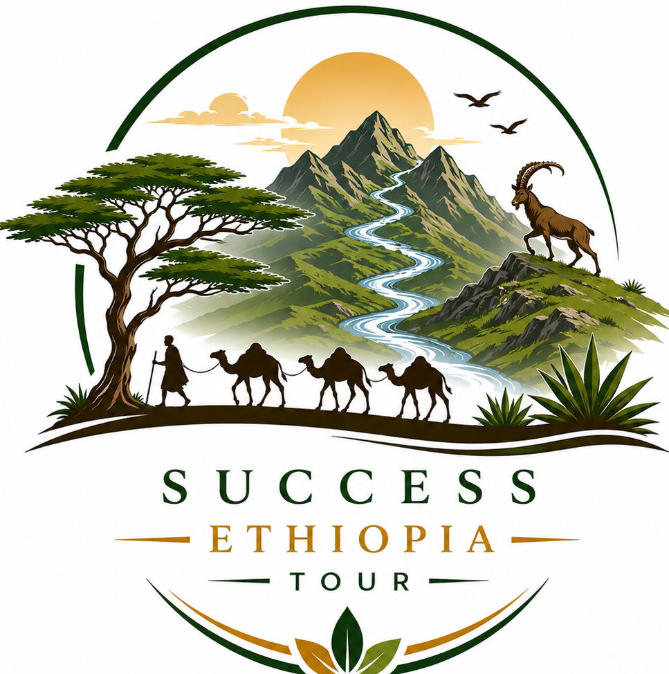 FindTourGuide