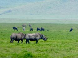 Day 5 图片 1
