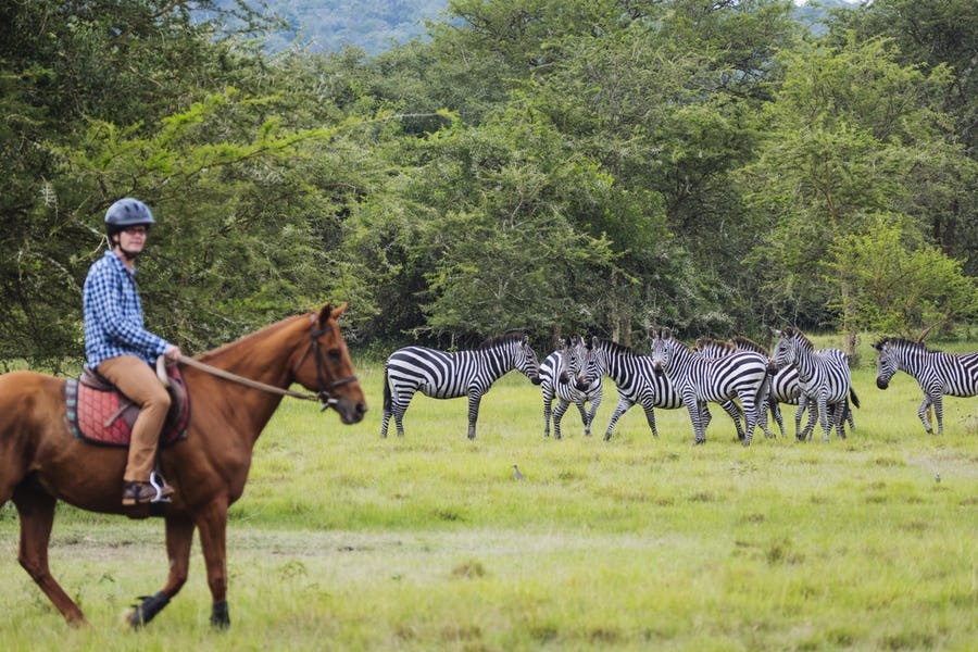 5 Days Gorilla Trekking & Lake Mburo National Park Safari