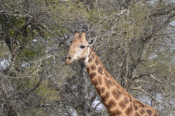 Day 4 图片 4