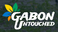 FindTourGuide