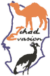 FindTourGuide