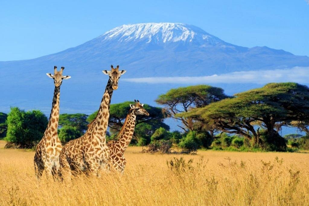 7-Day Group Safari to Masai Mara, Nakuru, Naivasha & Amboseli