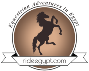 FindTourGuide