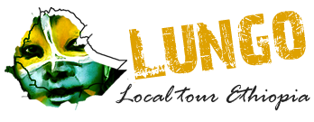 FindTourGuide
