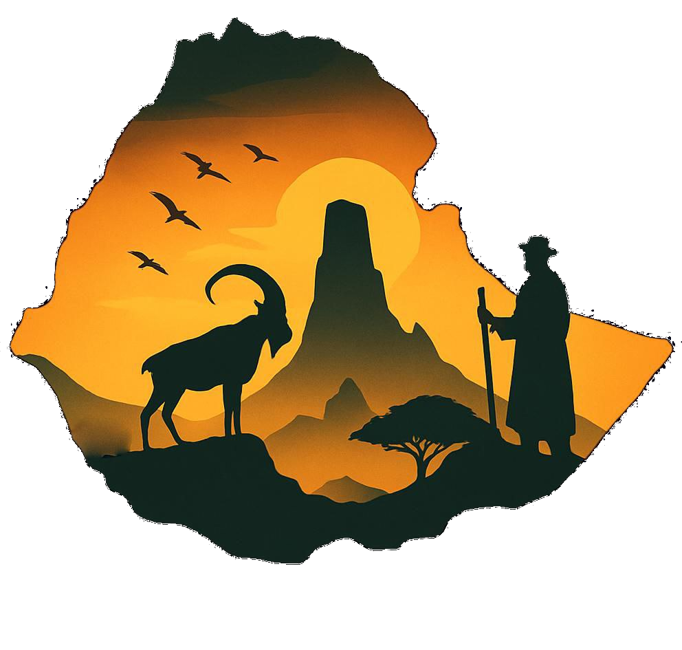 FindTourGuide