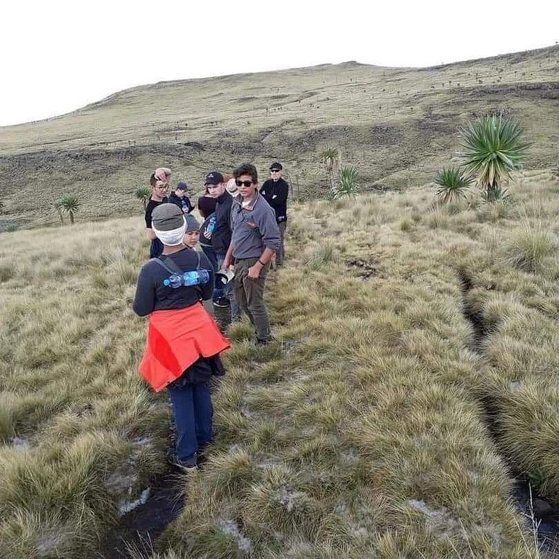 FindTourGuide