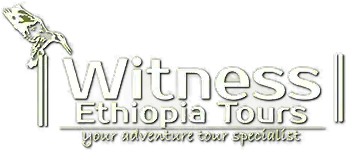 FindTourGuide