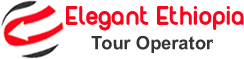 FindTourGuide