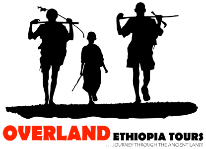 FindTourGuide