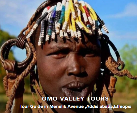 FindTourGuide