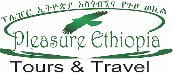 FindTourGuide