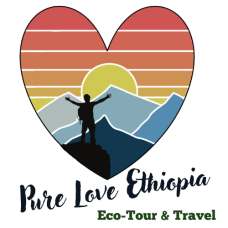 FindTourGuide
