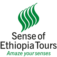 FindTourGuide