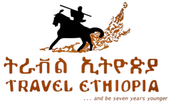 FindTourGuide