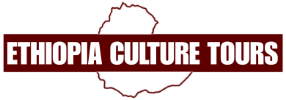 FindTourGuide