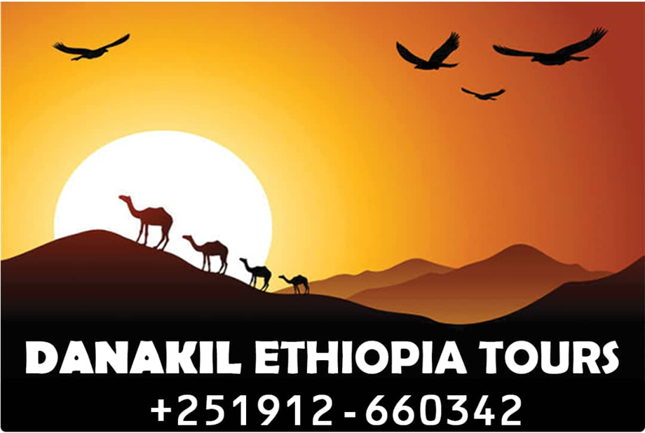 FindTourGuide