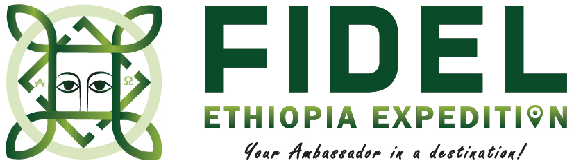 FindTourGuide