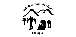 FindTourGuide