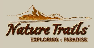 FindTourGuide