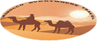 FindTourGuide