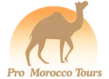 FindTourGuide