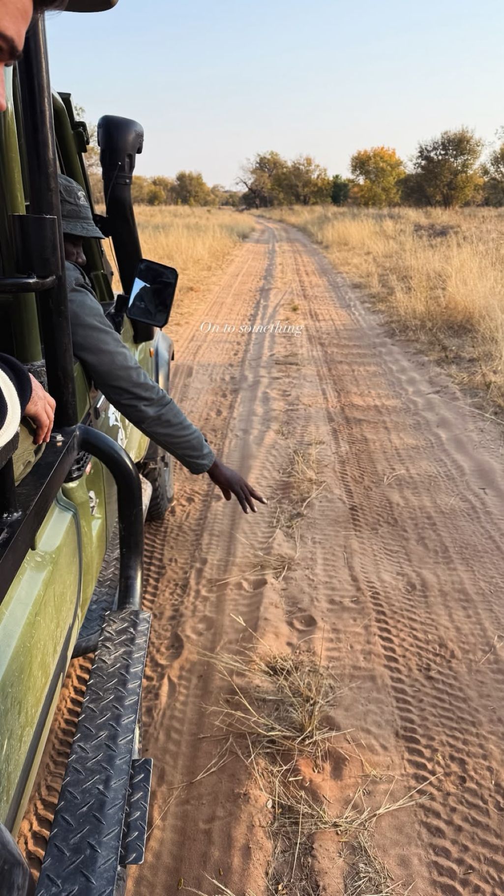 Into the Wild: A 4-Day Moremi Experience