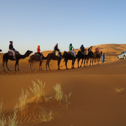 3天摩洛哥沙漠之旅：从马拉喀什前往梅尔祖卡