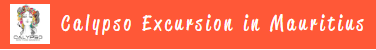 FindTourGuide