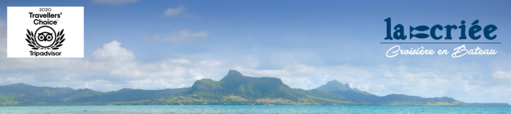 FindTourGuide