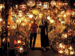 Day 7 图片 3