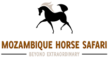 FindTourGuide
