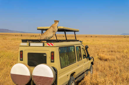 10-Day Luxury Northern Tanzania Odyssey: Tarangire, Serengeti & Ngorongoro