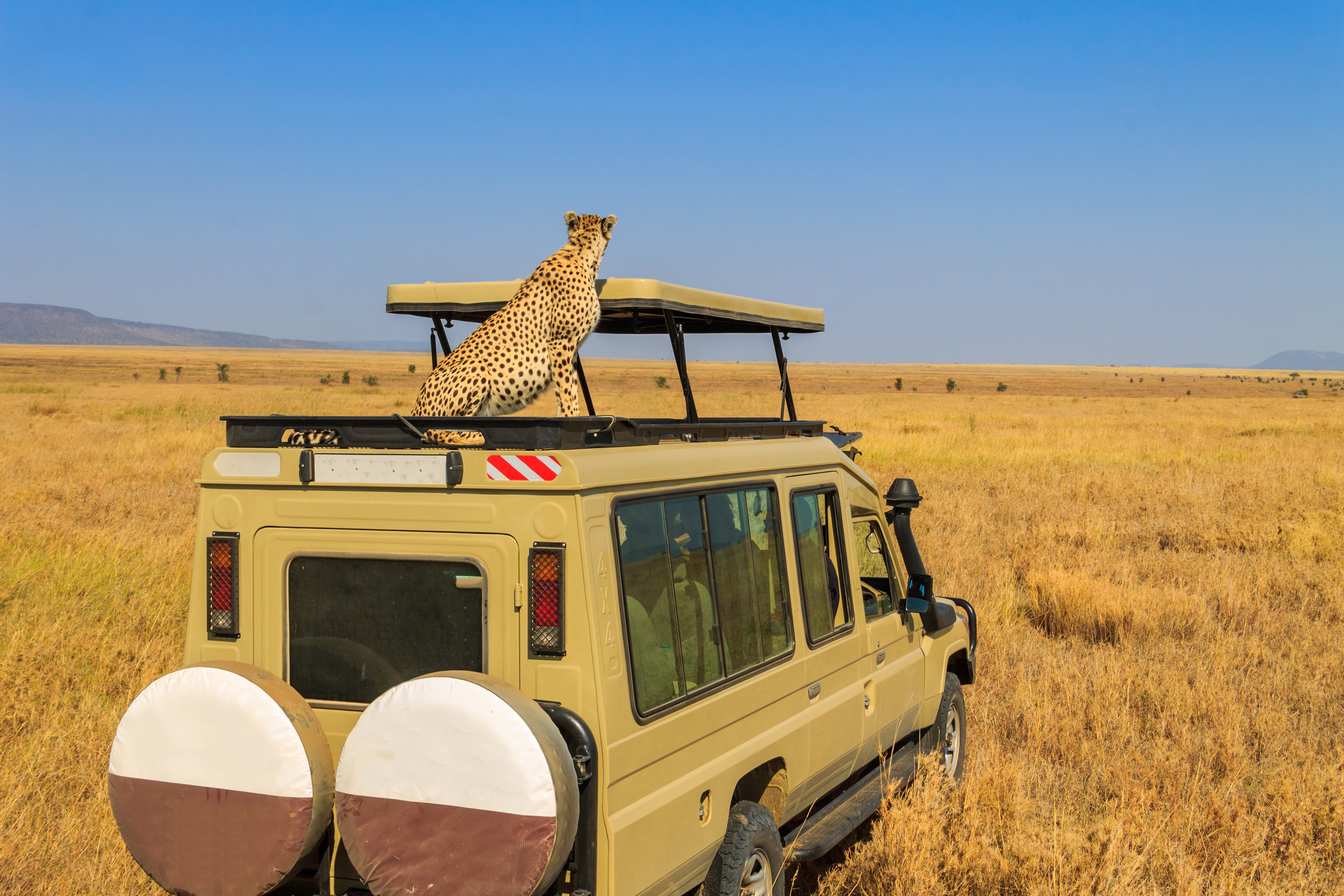 10-Day Luxury Northern Tanzania Odyssey: Tarangire, Serengeti & Ngorongoro