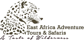 FindTourGuide