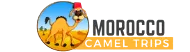 FindTourGuide