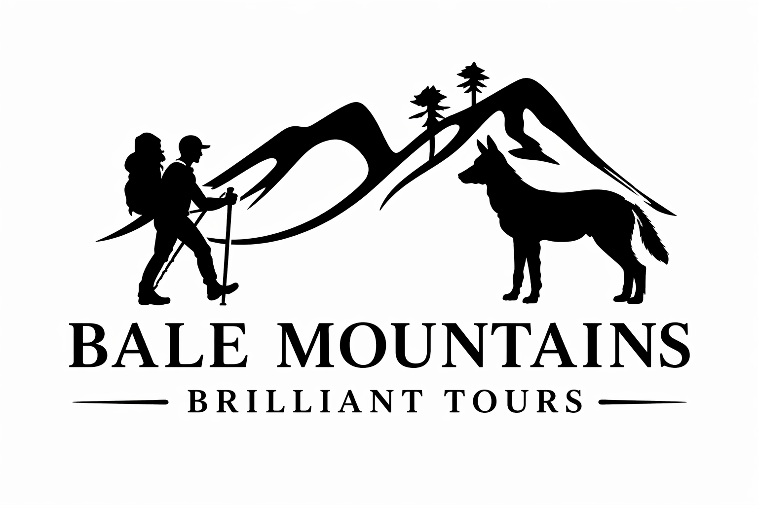 FindTourGuide