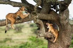 Day 3 Photo 2
