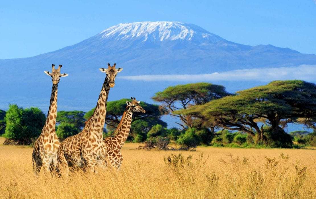 3-Day Amboseli Budget Safari, Elephants & Mt Kilimanjaro