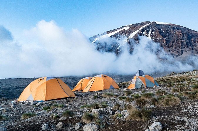 7-Day Kilimanjaro Climbing Via Rongai Route