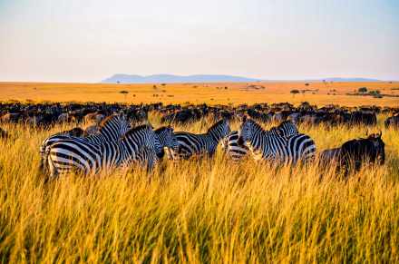 12-Day Tanzania Safari & Zanzibar Beach Holiday