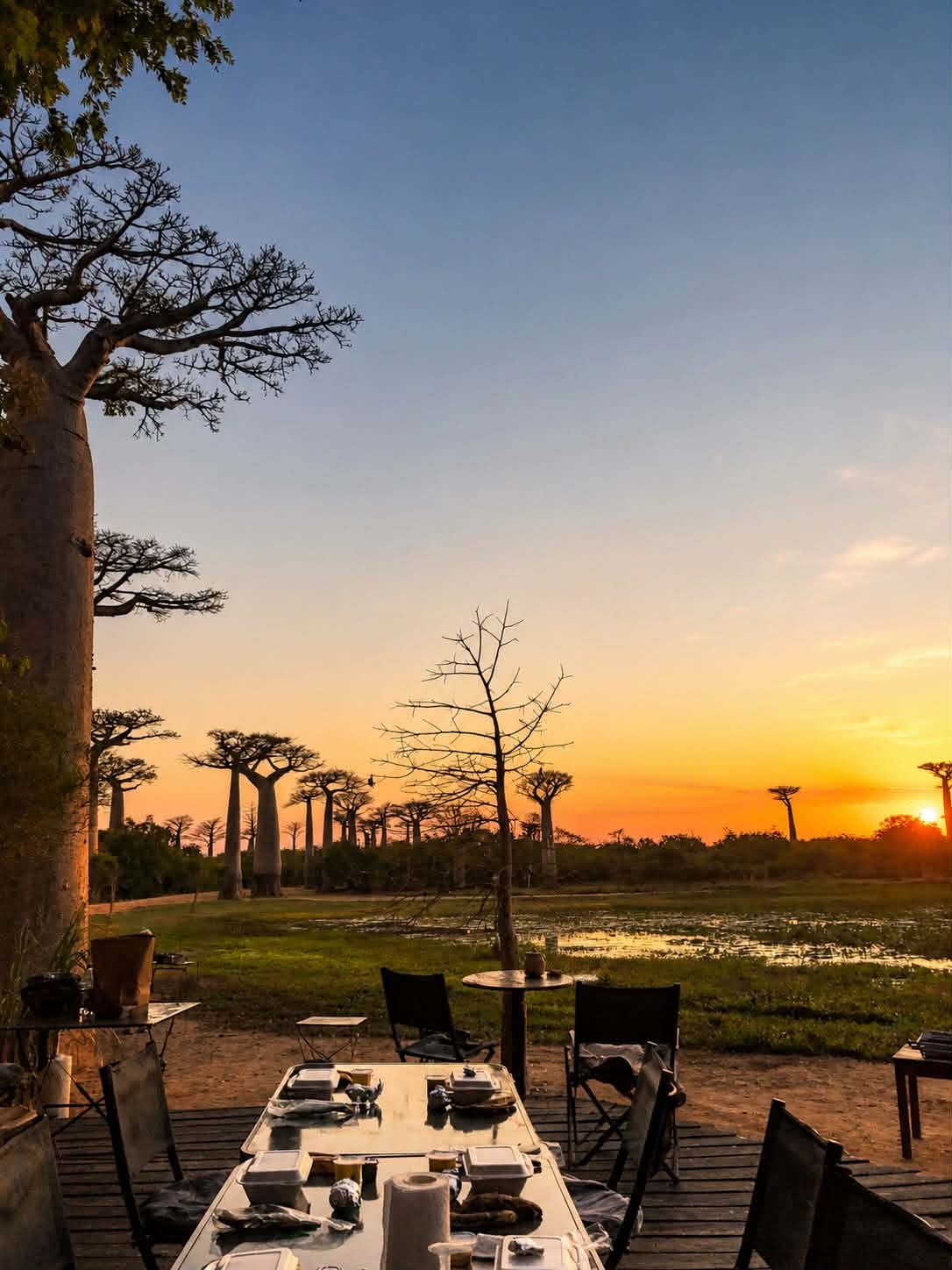 11-Day Madagascar Wildlife for First Timers