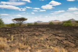 Day 2 Photo 1