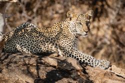 Day 2 Photo 4