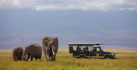7-Day Kenya Luxury Safari – Big Five, Lakes and Savanna Experience
