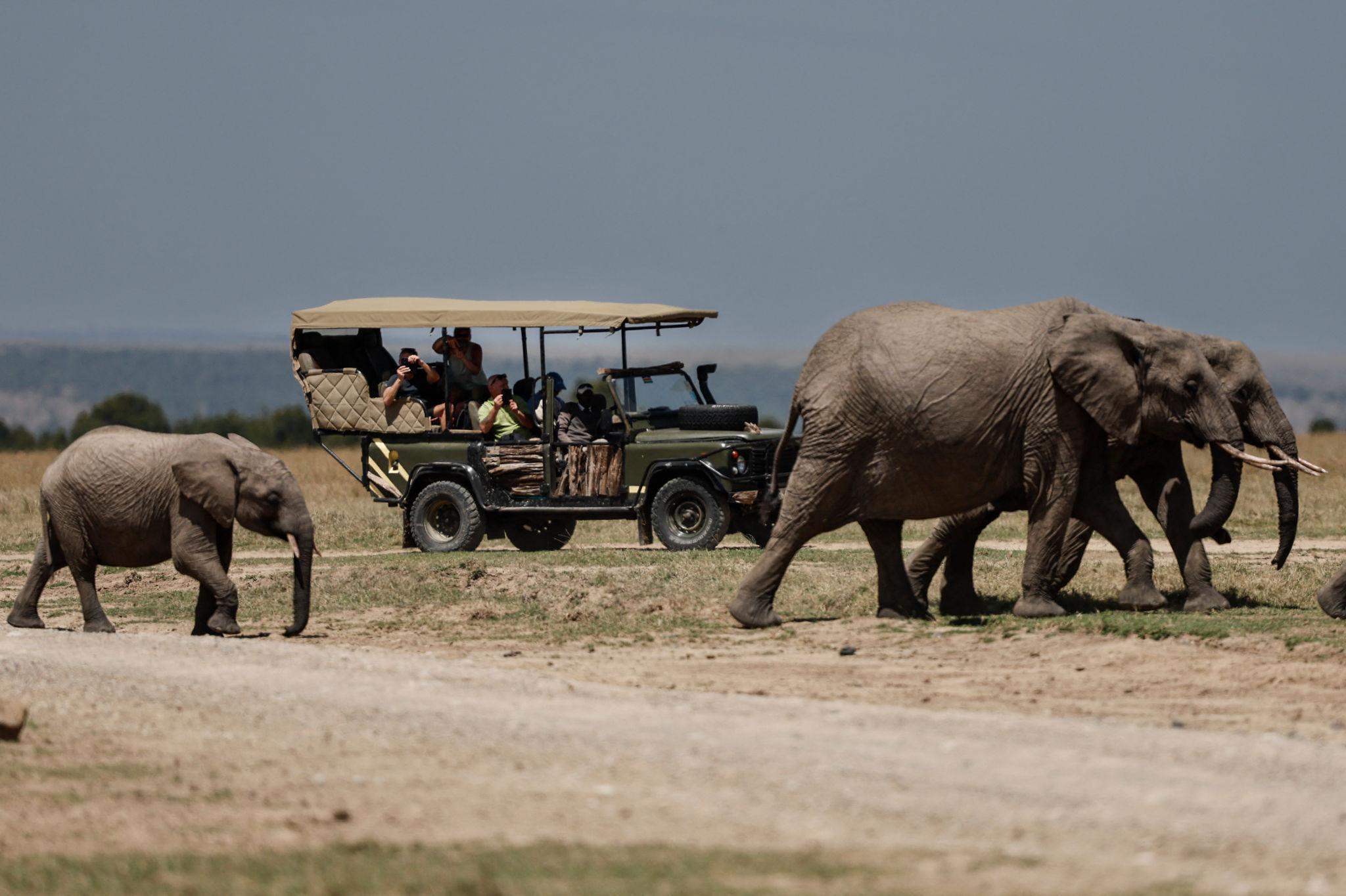 5-Day Ol Pejeta, Lake Nakuru & Maasai Mara Private Safari from Nairobi