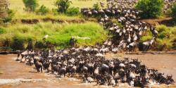 Day 3 Photo 2