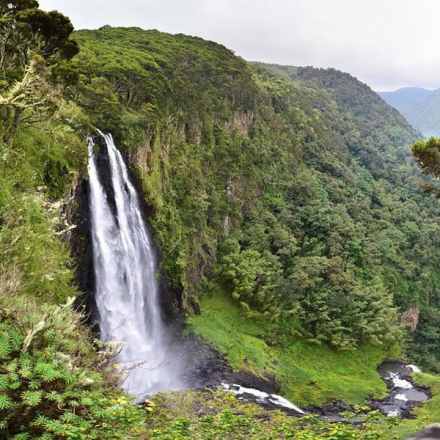 5-Day Aberdare, Lake Nakuru & Maasai Mara Private Safari from Nairobi