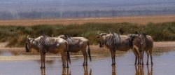 Day 6 Photo 2