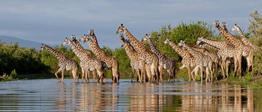 10天坦桑尼亚南部探秘之旅